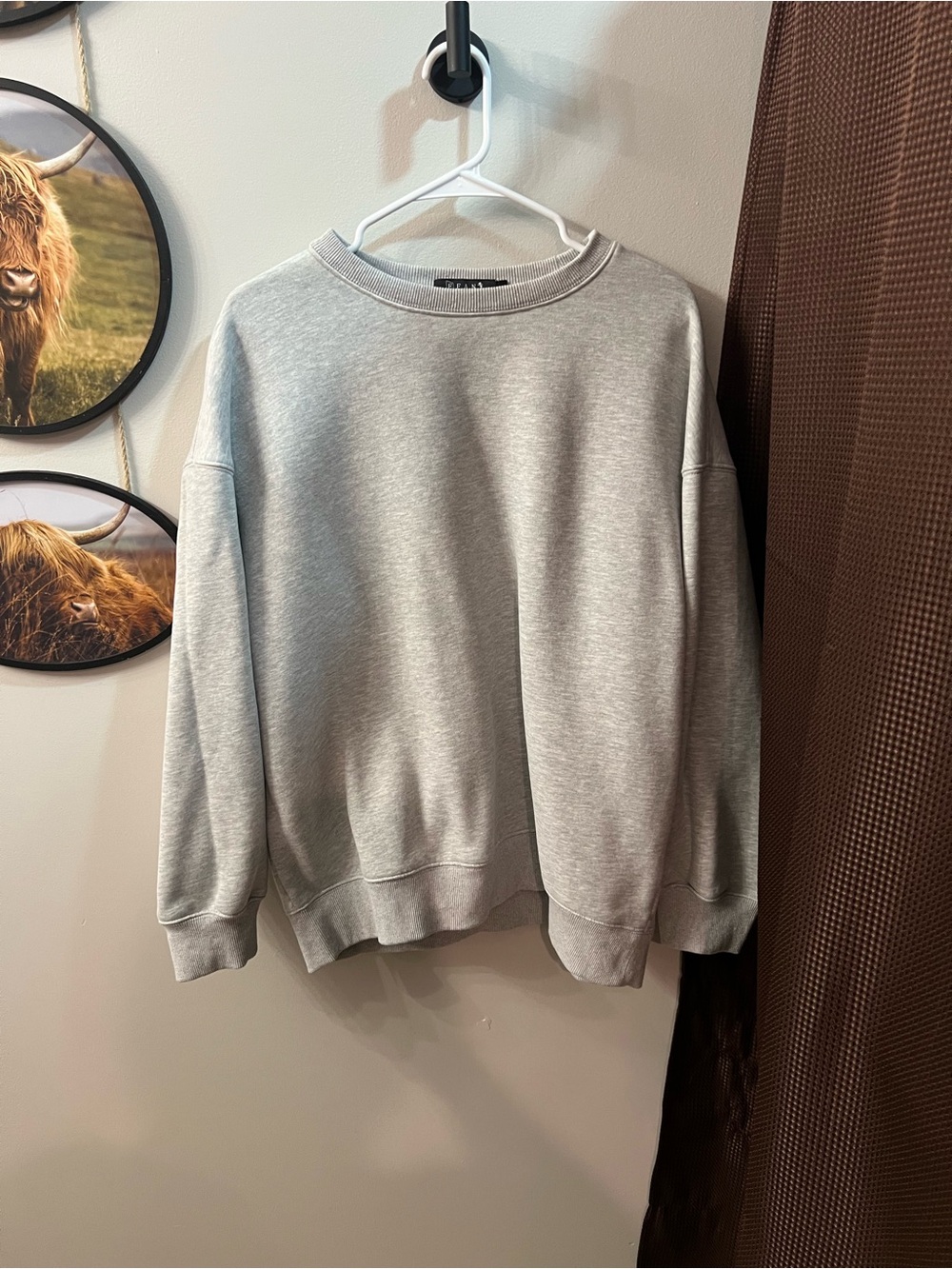 Women's Light Gray Crewneck Sweatshirt - Casual Everyday Pullover